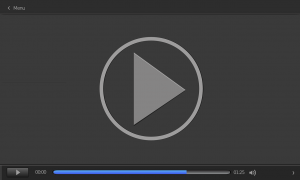 vector video player, movie player, media player